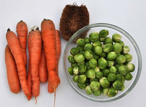 recette choux de Bruxelles carottes
