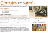 céréales et santé